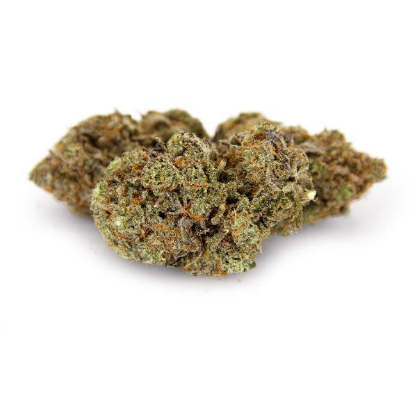 Gelato AA+ copy