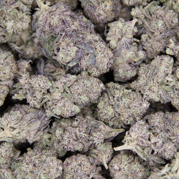Gelato AAA- - Image 2