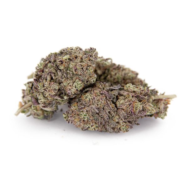 Gelato AAA-