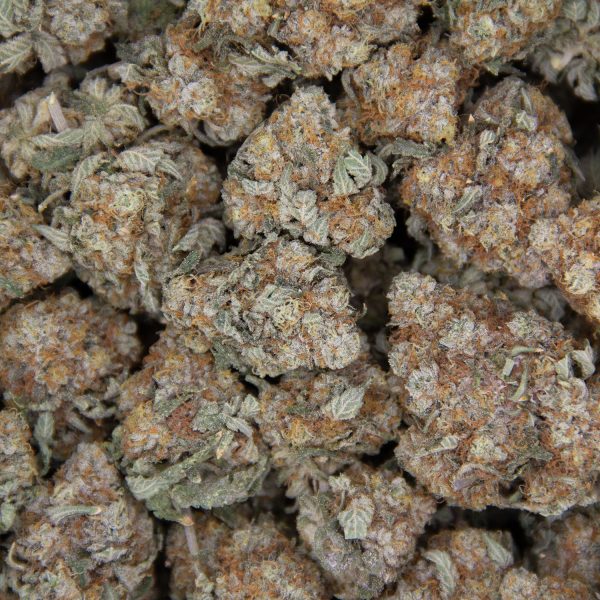 Georgia Pie AAA - Image 2