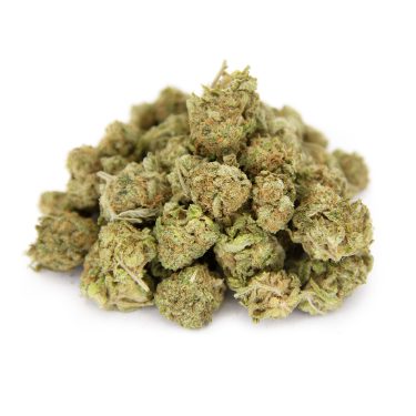 Golden Haze (popcorn) AA (1) copy