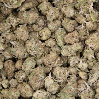 Golden Haze (popcorn) AA copy BAG