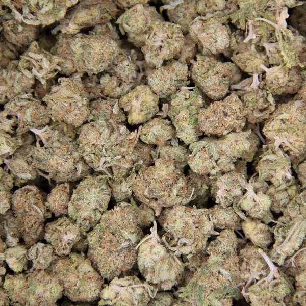 Golden Haze (popcorn) AA copy BAG