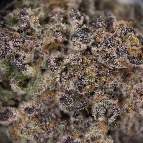 Gorilla Bomb AAAA+/Craft - Image 2