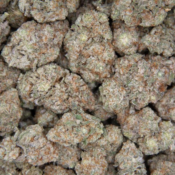 Grease Monkey (mediums) AA+ - Image 3