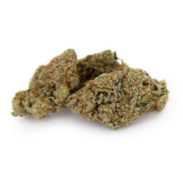 Grease Monkey (mediums) AA+
