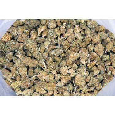 Hybrid Popcorn Mix AA bag cc 1.jpg