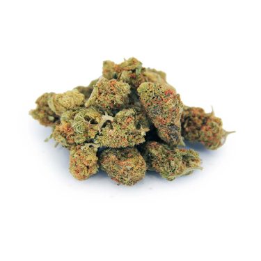 Hybrid Popcorn Mix AA cc 1.jpg