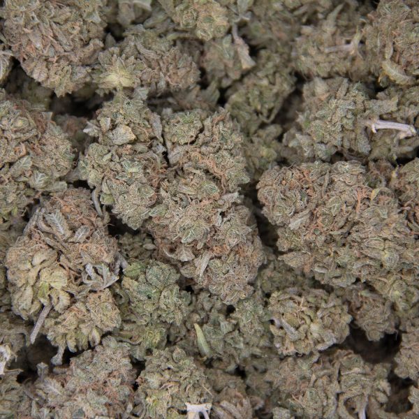 Larry OG AA - Image 3