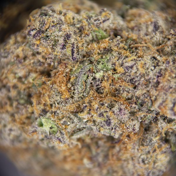 Pineapple Express AAAA+/Craft - Image 2