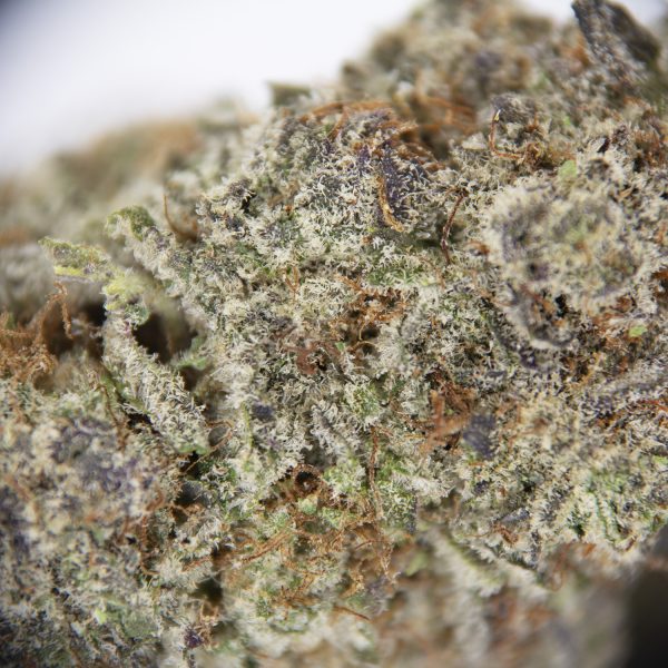 Pink Panther AAA - Image 2