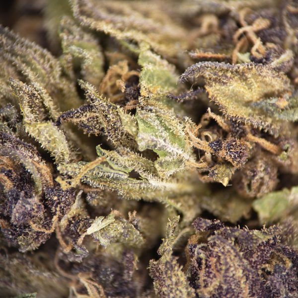 Punch Breath AA - Image 2