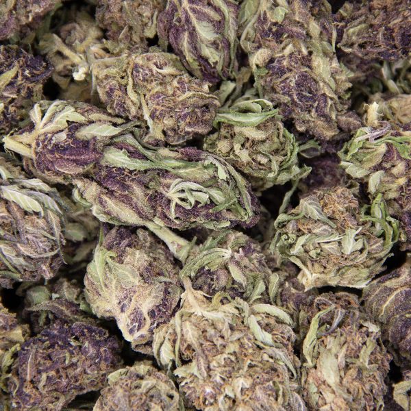 Punch Breath AA - Image 3