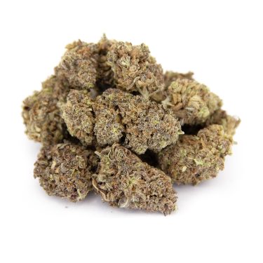 Purple Durban Poison AA