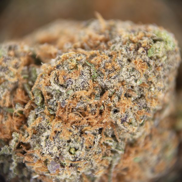 Querkle AAA - Image 2