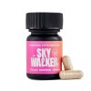Skywalker 3000MG Front EP whitebg 1.jpg