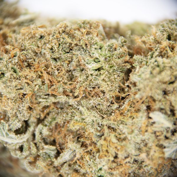 Super Silver Haze AAA- - Image 2