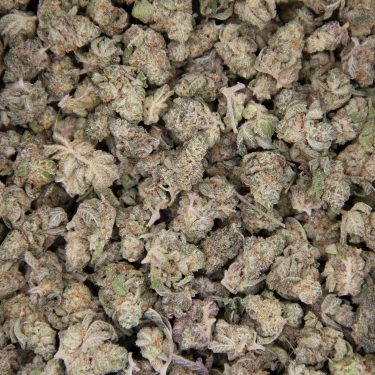 Trainwreck (popcorn) AA (1) copy BAG