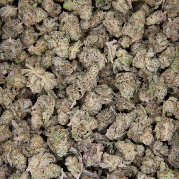 Trainwreck (popcorn) AA (1) copy BAG
