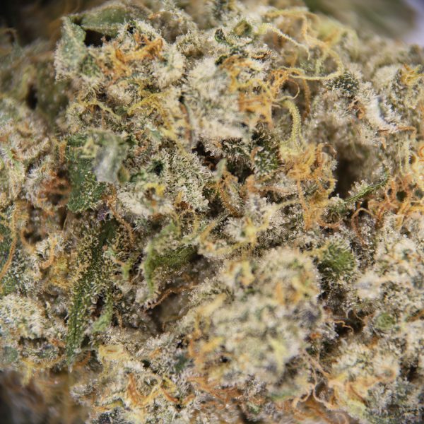 Banana Guava AAA+ - Image 2