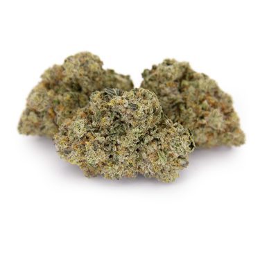 Banana Guava AAA+