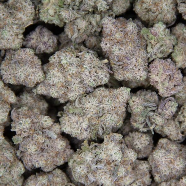 Biscotti AAA - Image 2
