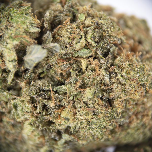 Gorilla Butter AAA - Image 2