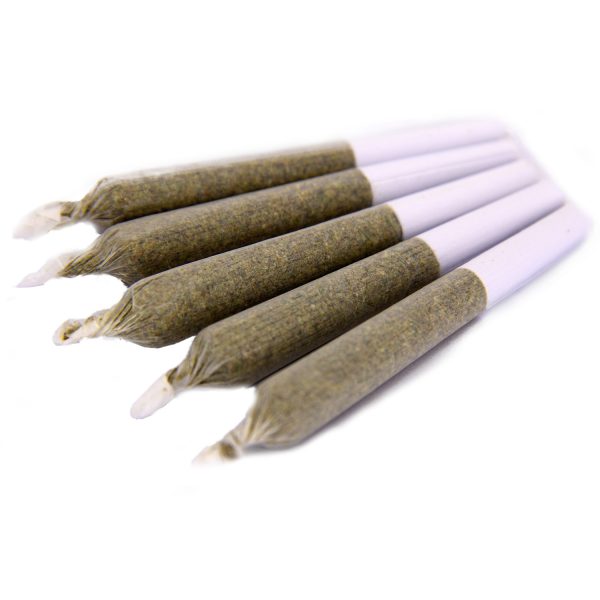 Kief Blaster 1g Pre-Rolls (5-pack)