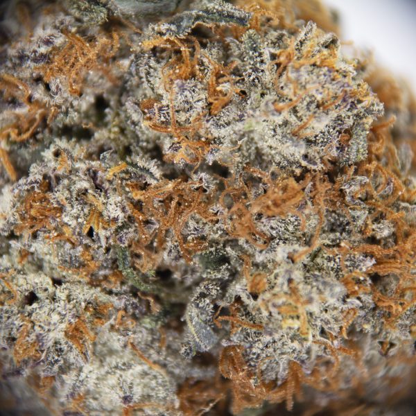 Purple Haze AAA+ - Image 2
