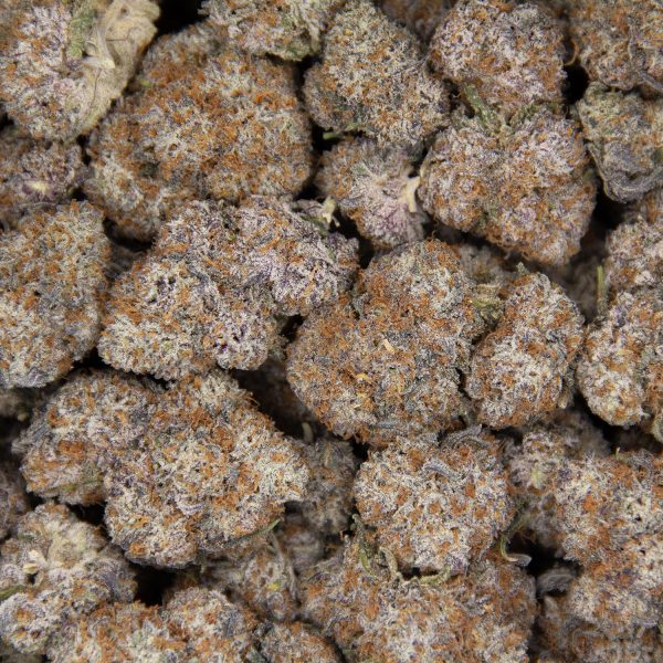 Purple Haze AAA+ - Image 3