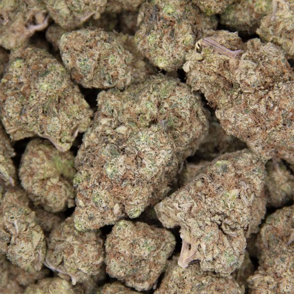 Rockstar AAA - Image 3