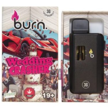 burn3g weddingcrasher.jpg