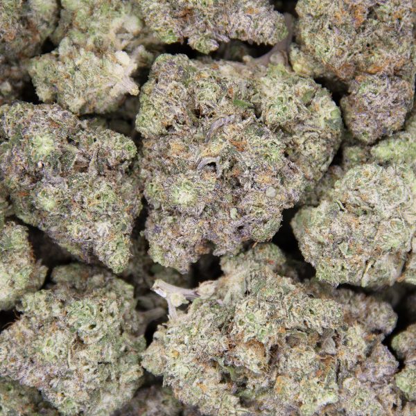 Blue Dream AAAA - Image 3