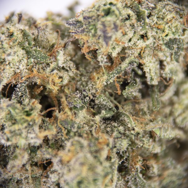 Blue Dream AAAA - Image 2