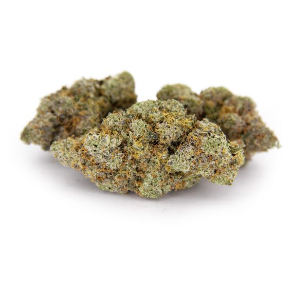 Durban 95 AAAA+/Craft
