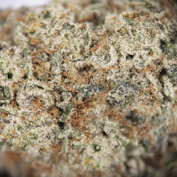 Fire OG AAA - Image 2