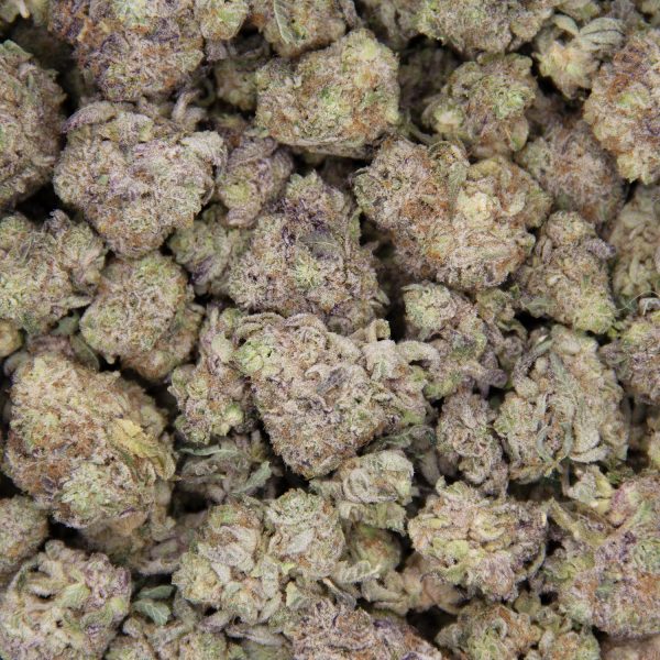 Jelly Rancher (smalls) AAA - Image 3