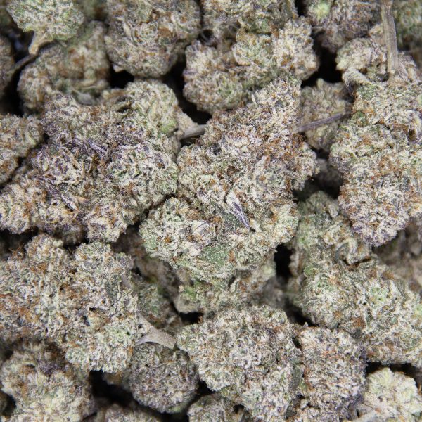 Purple God AAAA+/Craft - Image 3