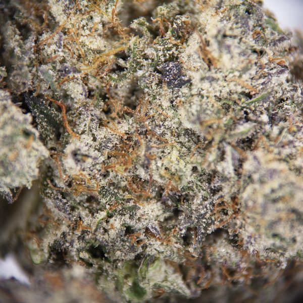 Purple God AAAA+/Craft - Image 2