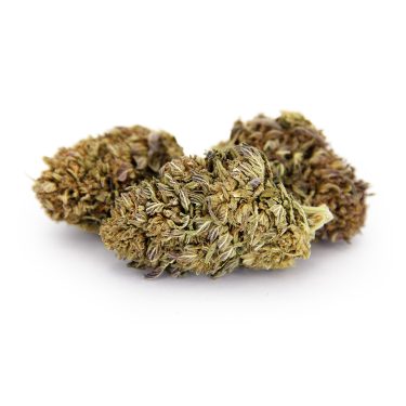 Sweet Purple AA-