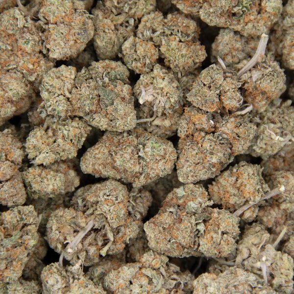 Warhead AA - Image 3