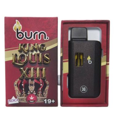 burn3g kinglouis.jpg