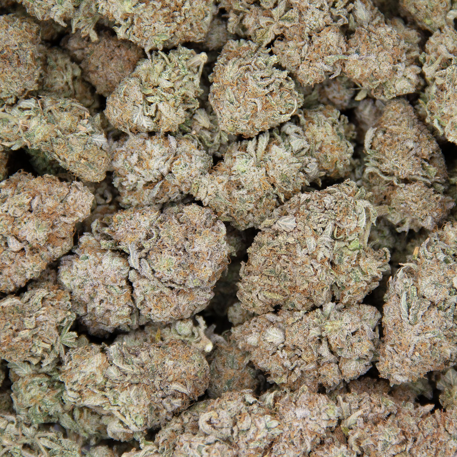 Cosmic Coma AA - Image 3