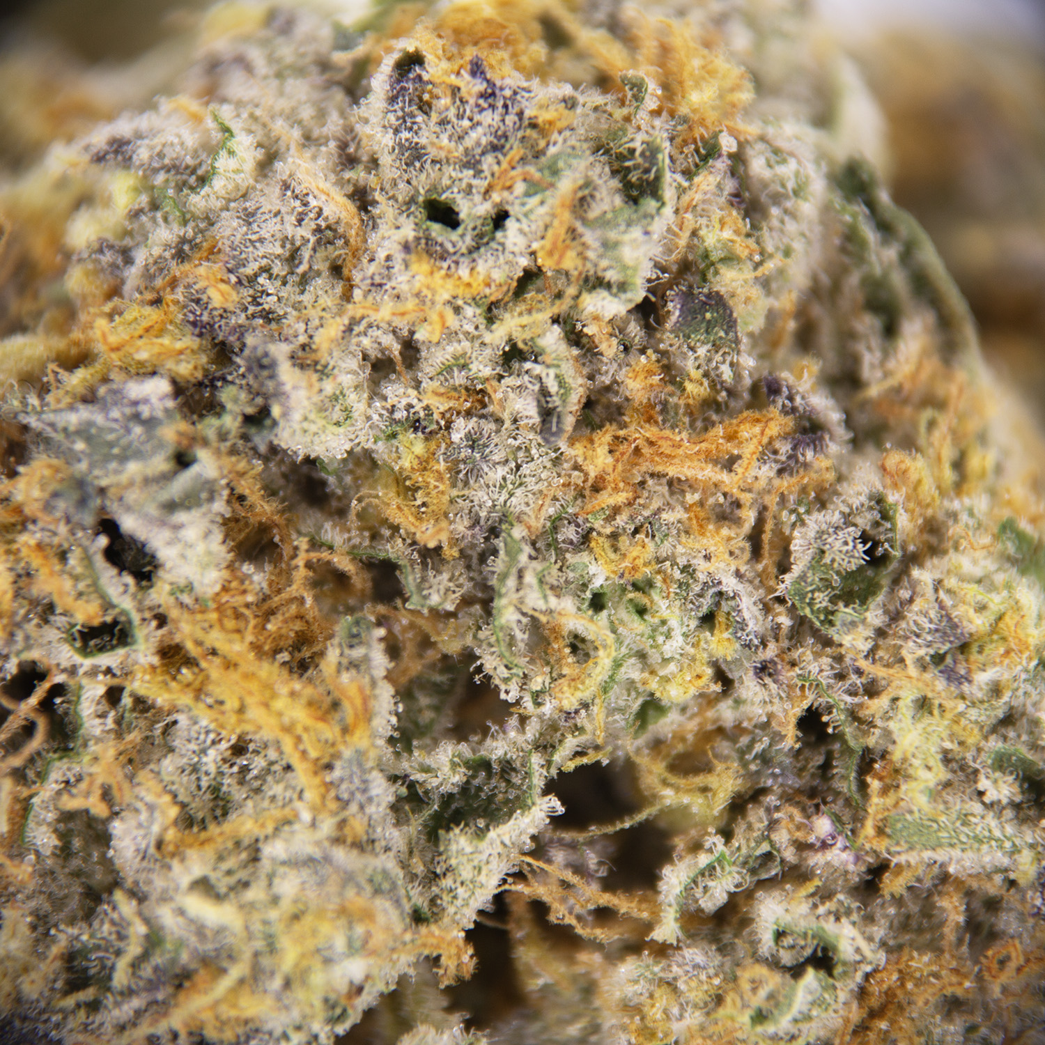 Cake Bomb AAA+ - Image 2