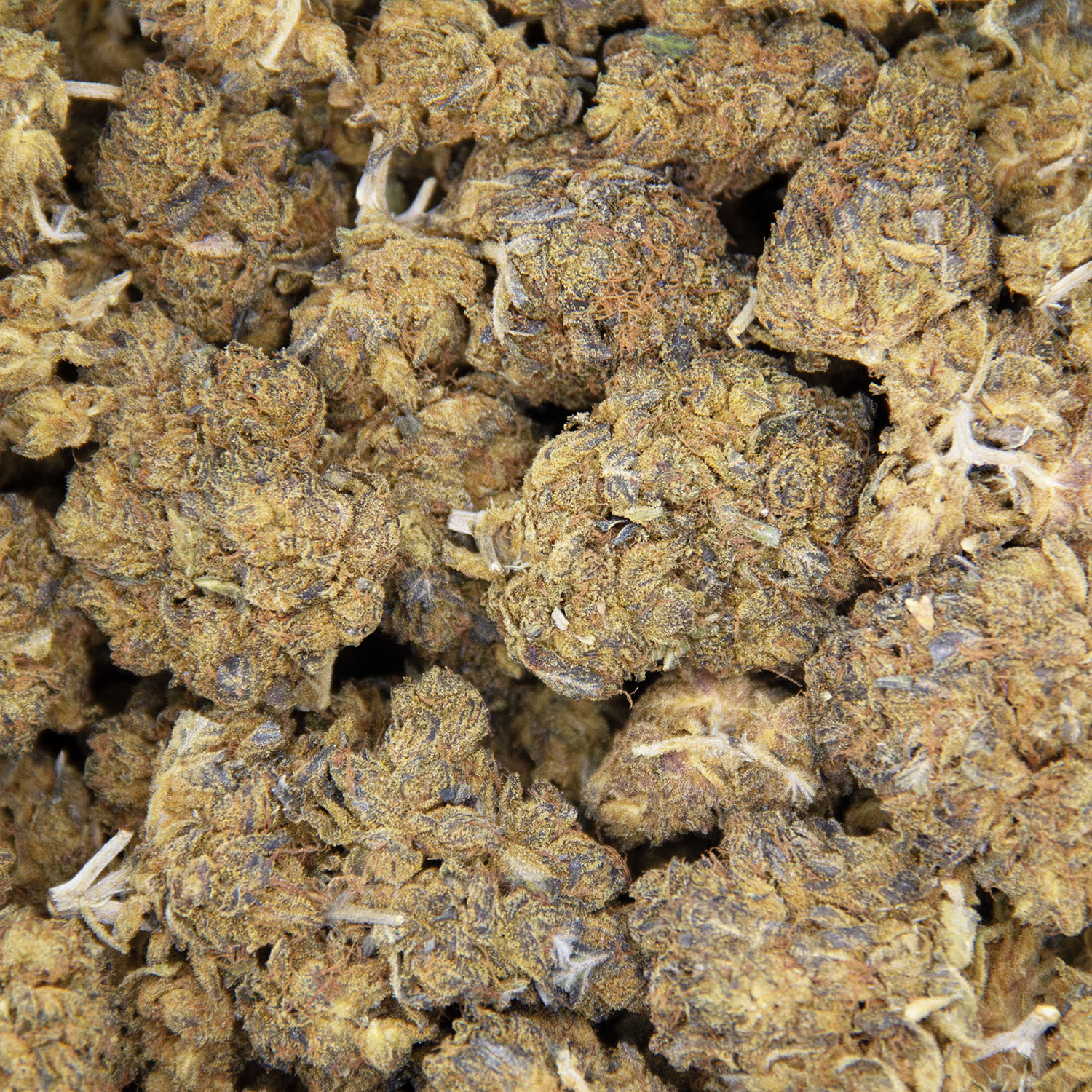 Medibud AA- - Image 2