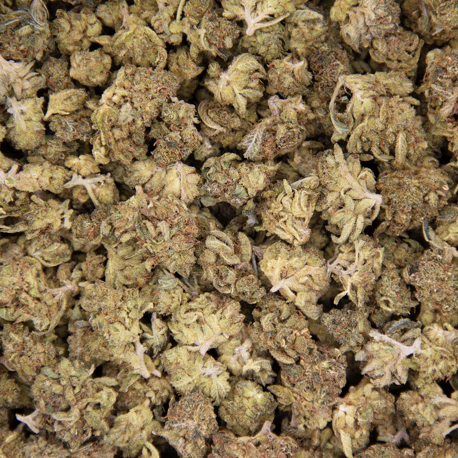 Red Haze AA (Popcorn) - Image 3