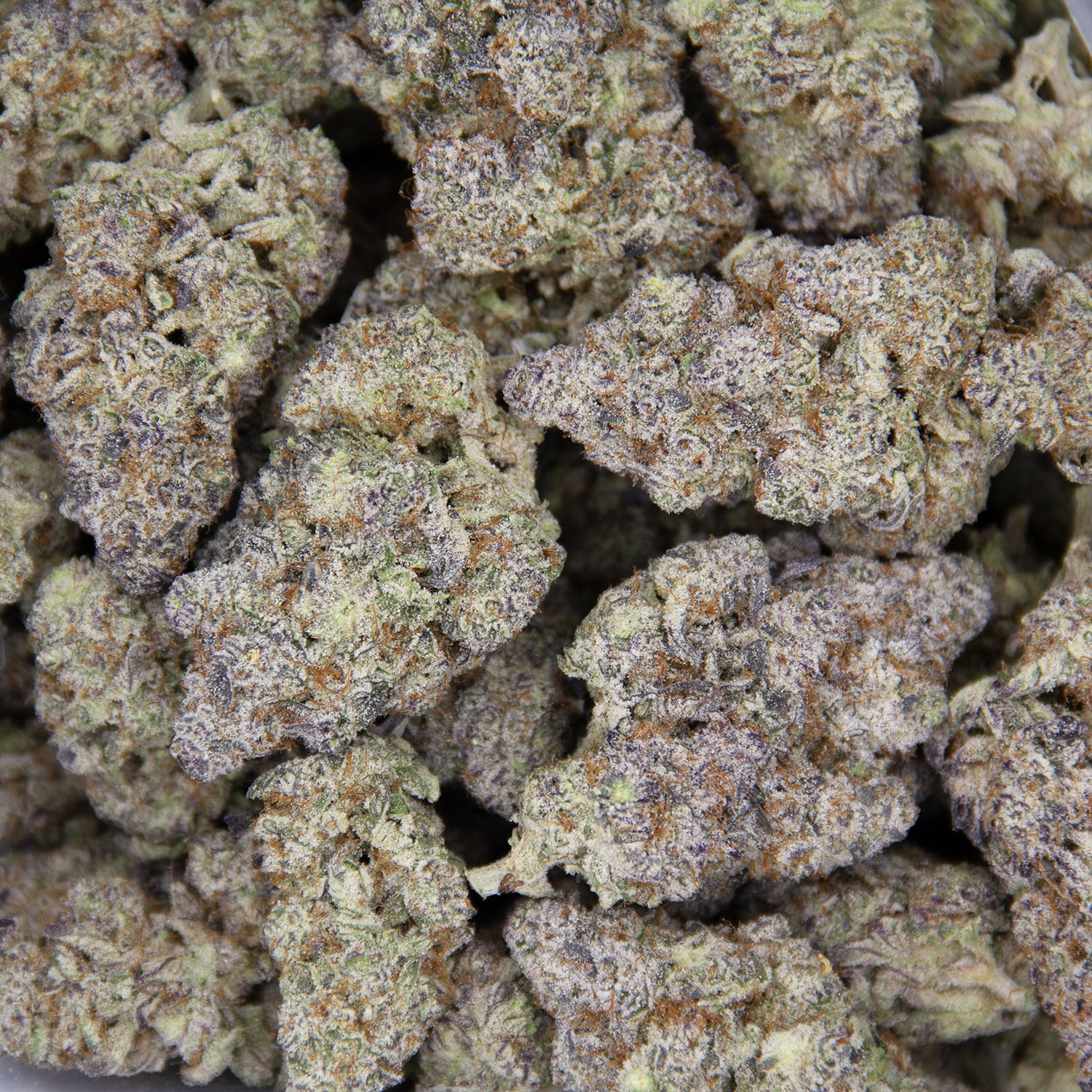 Apricot Jelly AAAA+ - Image 3