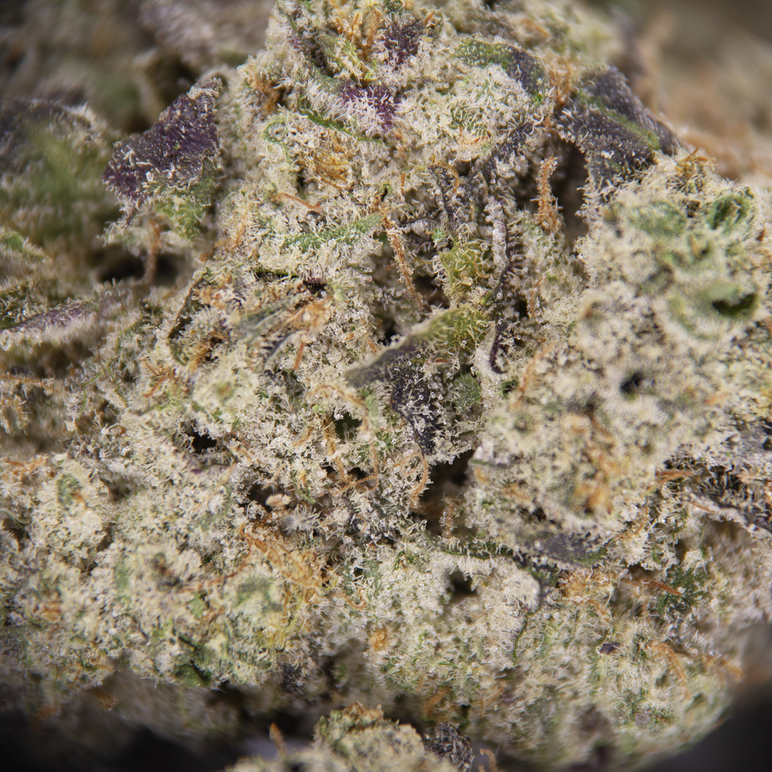 Banana Cake AAA+ - Image 2