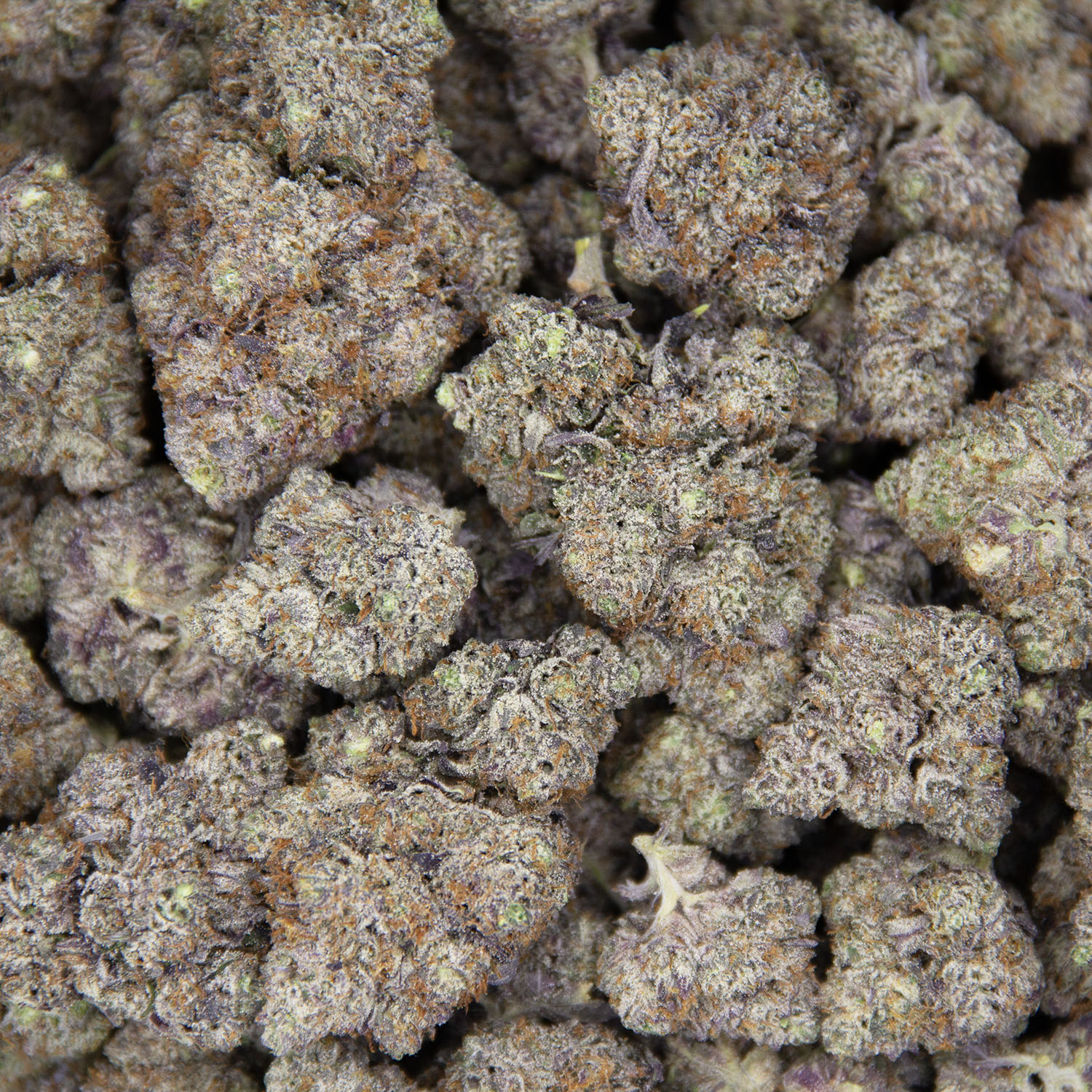 King Louis XIII AAAA+ - Image 3