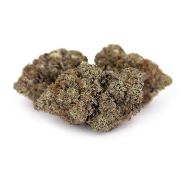 King Louis XIII AAAA+